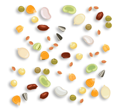 Inroduced New Varieties